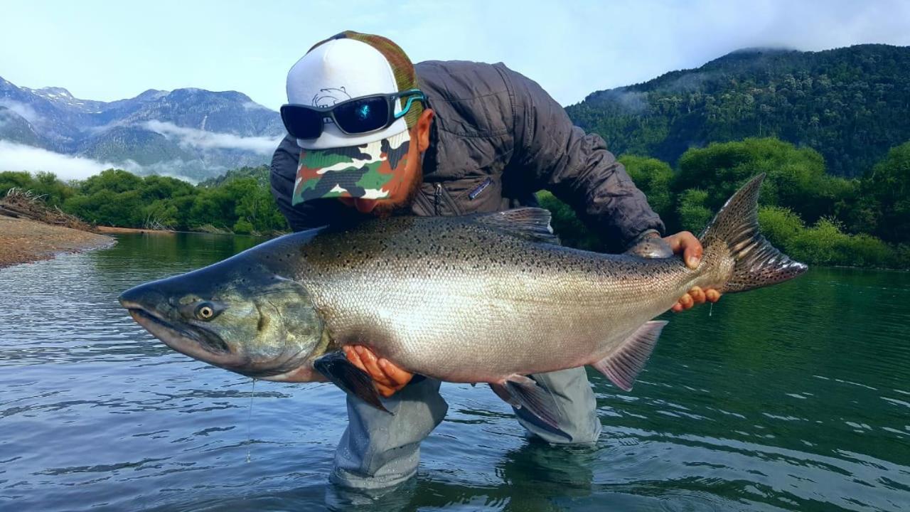 Cabanas Nutrias Patagonicas Puelo River Eksteriør billede