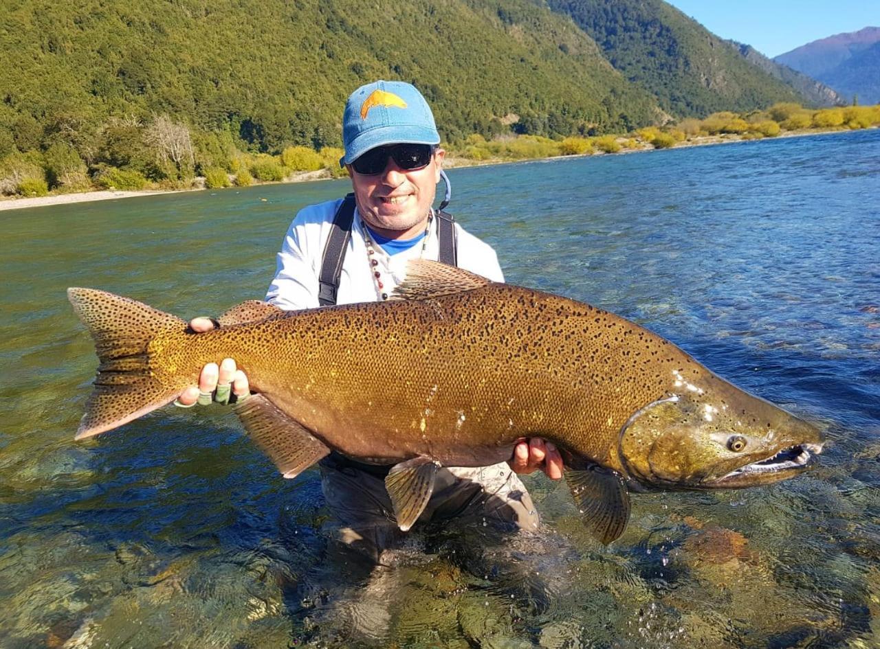 Cabanas Nutrias Patagonicas Puelo River Eksteriør billede