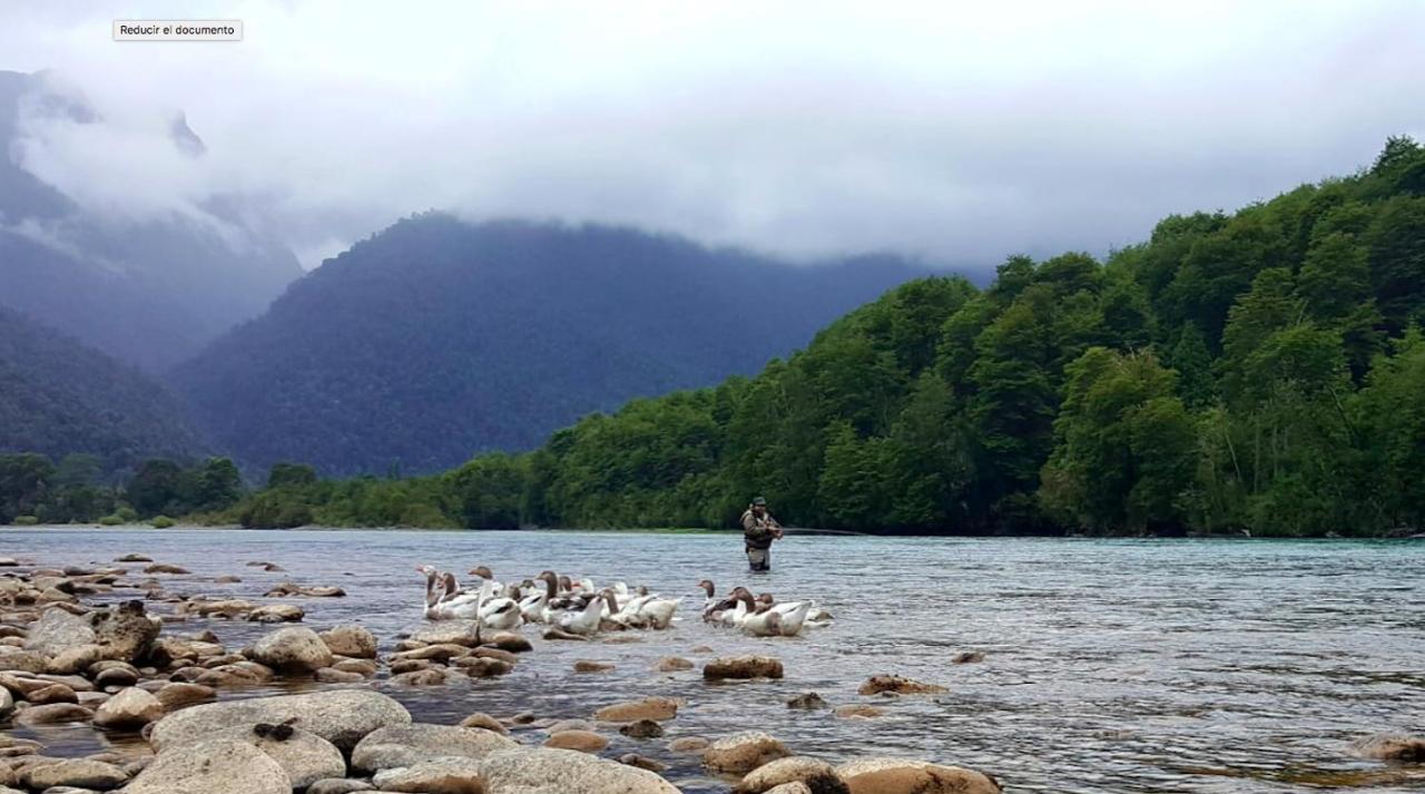 Cabanas Nutrias Patagonicas Puelo River Eksteriør billede